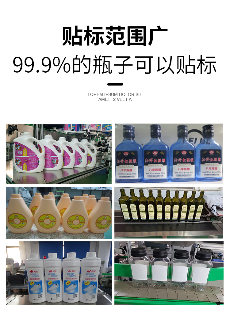 全自动双侧面贴标机